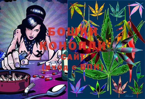 ECSTASY Лагань