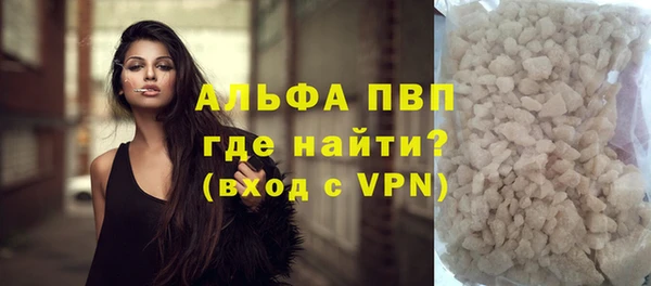ECSTASY Лагань