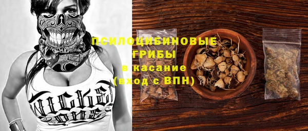 mix Лабытнанги