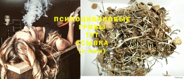 mix Лабытнанги