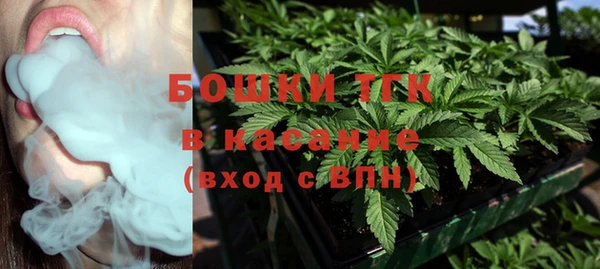 ECSTASY Лагань