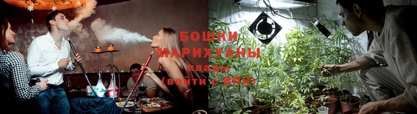 ECSTASY Лагань