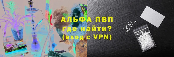 ECSTASY Лагань